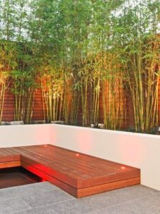 Taman bambu di rumah